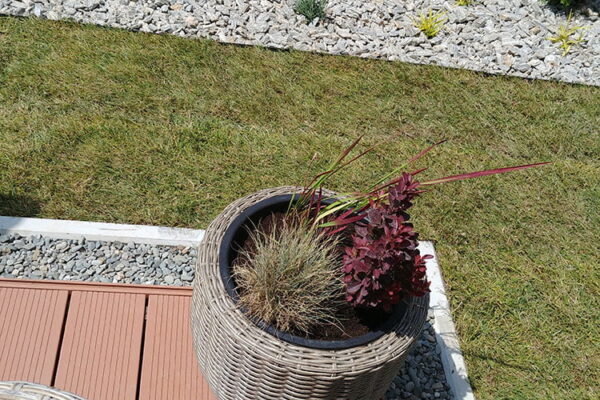 Zakładanie ogrodu w Krakowie