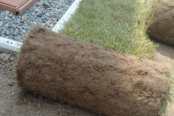 Zakładanie ogrodu w Krakowie