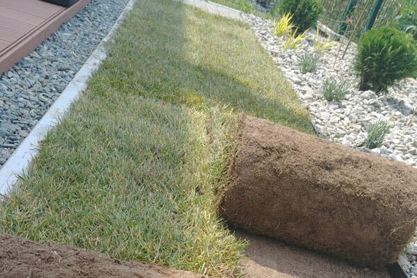 Projekt Ogrodu w Krakowie