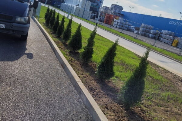 Projekt Przestrzeni i ogrodu przy sklepie - Ogrody Aurora Tarnów