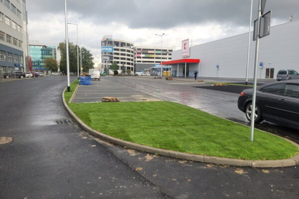 Projekt Przestrzeni i ogrodu przy sklepie Kaufland