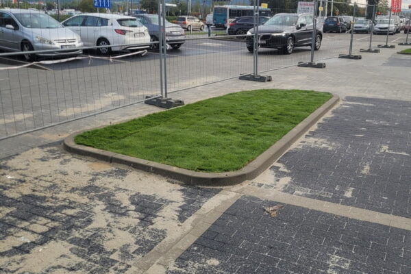 Projekt Przestrzeni i ogrodu przy sklepie Kaufland