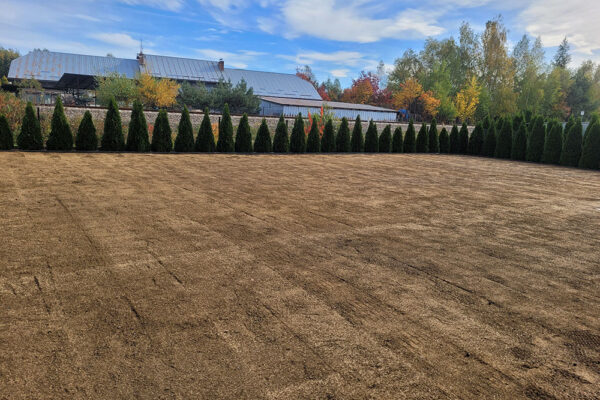 Zakładanie ogrodu z nawodnieniem w Tarnowie