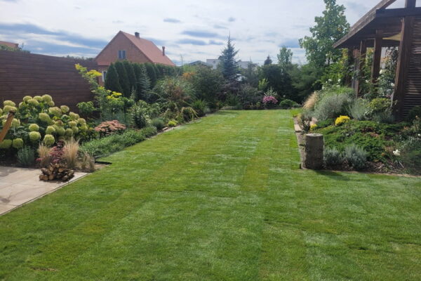 Zakładanie ogrodu w Tarnowie z systemem nawadniania