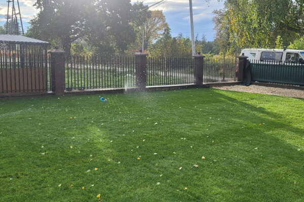 Realizacja trawnika z rolki w Tarnowie