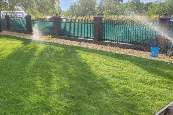 Realizacja trawnika z rolki w Tarnowie